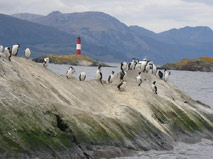 Beagle Channel - Ushuaia Hiking - Outdoor travel with Patagonia Adventure Trip