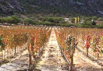 cafayate hosteria lodging meals included breakfast double single puna atacama